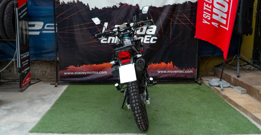 SUZUKI – FREEWIND 650 full