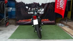 SUZUKI – FREEWIND 650